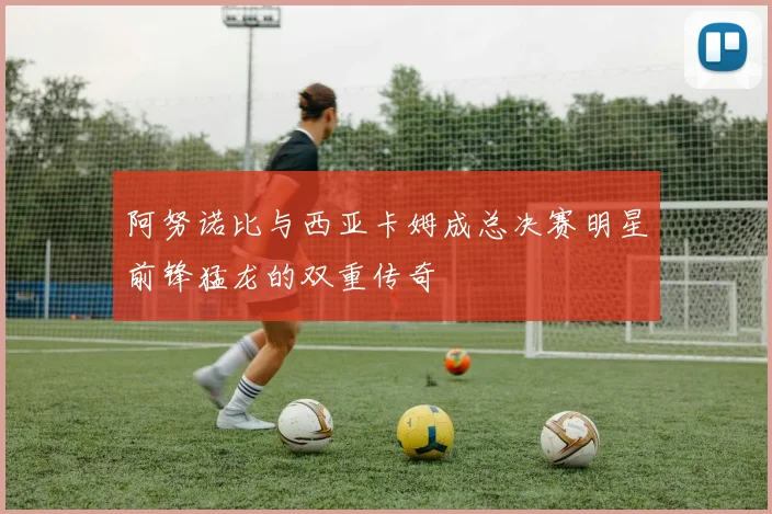阿努诺比与西亚卡姆成总决赛明星前锋猛龙的双重传奇