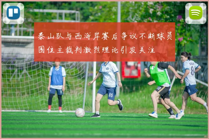 泰山队与西海岸赛后争议不断球员围住主裁判激烈理论引发关注